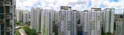 High Park Residences (D28), Apartment #204163631